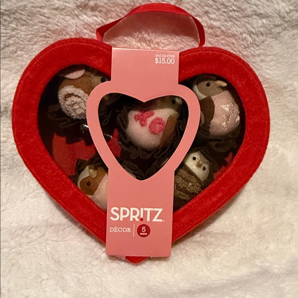 NEW Spritz Valentine's Day Featherly Friends Birds Chocolate Box Target